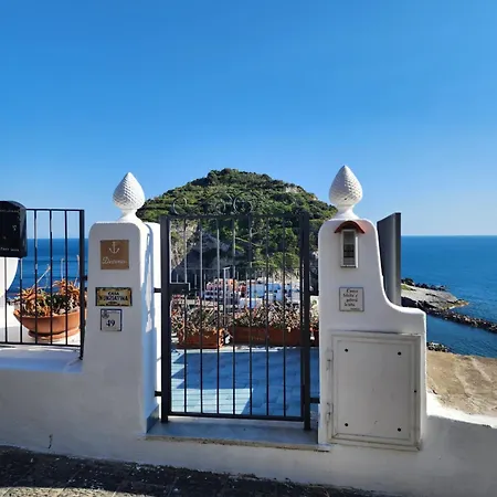 Divina Seaside Ischia 公寓 *